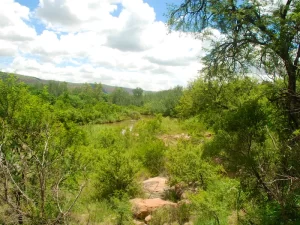 AAEAAQAAAAAAAAAAAAAA0fn7L7oIZExQamdIqizIFmvs0Rskkj58kKFFr9Ti4rnpSTx7uQ