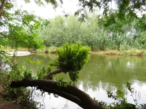 AAEAAQAAAAAAAAAAAAAADrYkX3xfZJ9S7q9ntArEDIlrNwTKHiK0E8k5ucbpNfw8wBcPlL