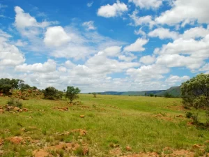 AAEAAQAAAAAAAAAAAAAAioYoK8u6rNCJkskLeo781JXzzhUHXJ2oaaY6EpKwTO4Xj1nWDh